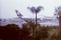 B 747-230 D-ABYR in LAX