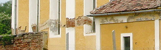 Schäden Südwand Mai 2005